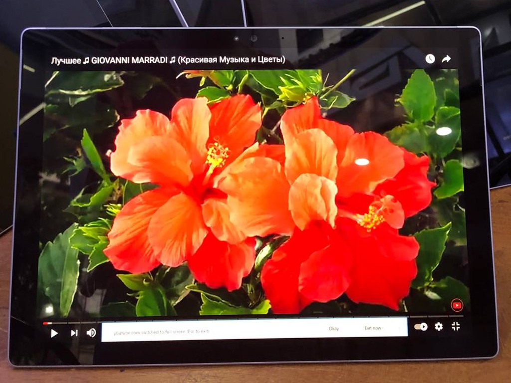 Microsoft Surface Pro 4    8GB(S/H)